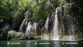 حكم كشف الوجه في العمرة || فتاوى عامة || د. سامي الواكد image