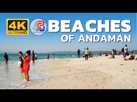Best Beaches of Andaman | Radhanagar | Kala Pathar | Elephanta | Pahari Wanderer | 4K | Travel Guide