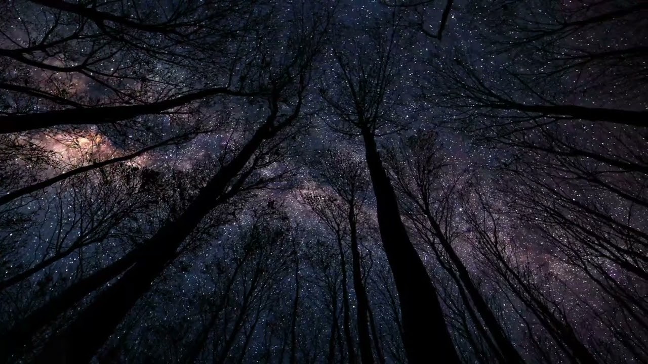 Forest Night sounds - Stunning AstroLapse Scenes