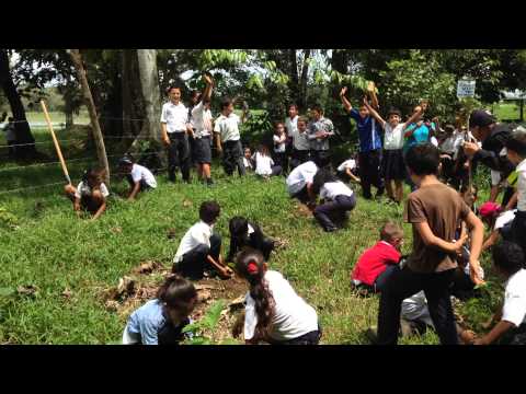 It's For The Monkeys and 60 School Children