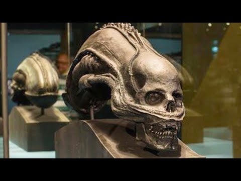 「刺激的で珍しい」、まったくの偶然で発見された特別な石