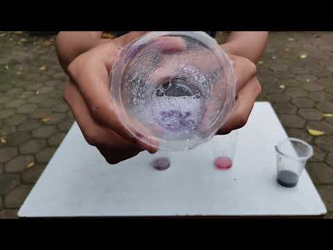 PRAKTIKUM KIMIA | Uji Coba Asam-Basa Menggunakan Indikator Alami