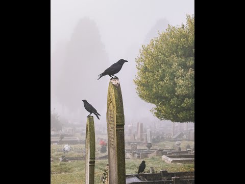 Drako - 3:33am (Official Video)