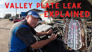 EXPERT Mechanic Explains the Valley Plate Leak on Lexus GX460