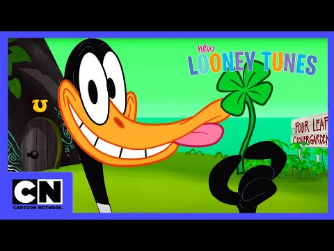Nowe Zwariowane Melodie | Niesamowite szczęście | Cartoon Network
