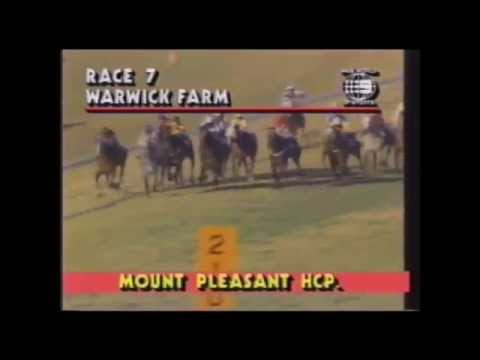 1987 STC San Domenico Stakes Day Race Seven