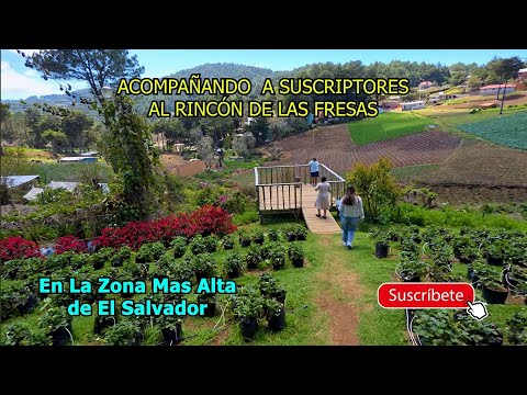 Suscriptores Visitan El Rincón De Las Fresas En Cantón Río Chiquito En San Ignacio, Chalatenango. 