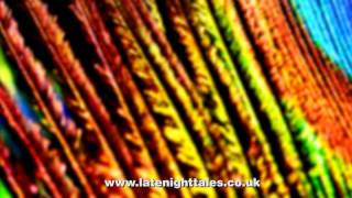 Stereolab - Black Arts (Late Night Tales: Friendly Fires)