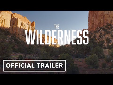 The Wilderness