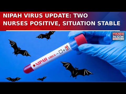 Nipah Virus Cases: Two Nurses Test Positive, No New Cases In Over 20 Days, Health Dept On Alert