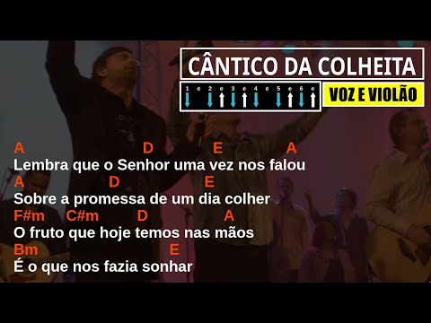 Sem Você - Som da Colheita