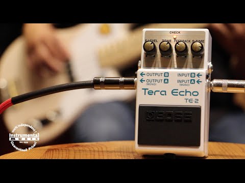 Boss Tera Echo Bass Demo