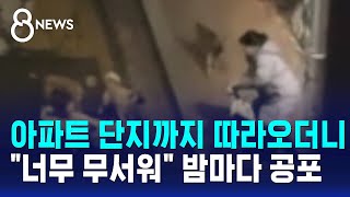 골목서 울려퍼진 비명…"너무 무섭다" 밤마다 공포 / SBS 8뉴스