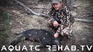 preview picture of video 'BOWHUNTING New Zealand / Australia - Pigs and Goats'