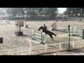 JHONNY DU THAR – Hongre SF – 7 ans – 1,73 m