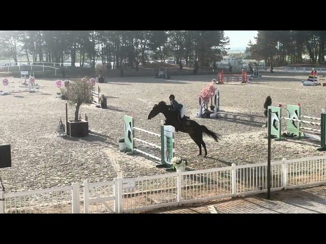 JHONNY DU THAR &ndash; Hongre SF &ndash; 7 ans &ndash; 1,73 m