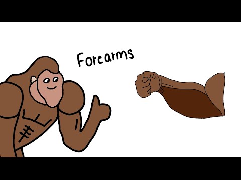 How To Get Big Forearms Explained By Ape