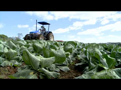 Video Clipe - Terra dos Pinheirais - Pref. Mun. SJP