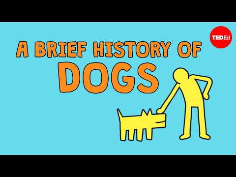 The Surprising Evolution of Dogs: From Wolves to Man's Best Friend