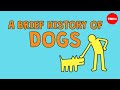 A brief history of dogs - David Ian Howe