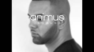 02. Animus - Magier (2012)