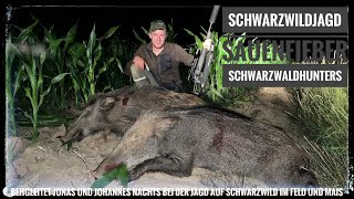 Sauen | Nachtjagd | Maisjagd | Schwarzwaldhunters im Sauenfieber