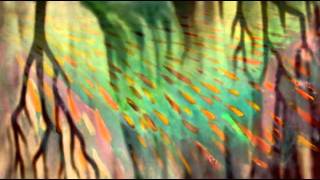 IT'S A LOVE THING   DOGMAN DAVE (VIDEO BY BRIGITTE NORMAN)