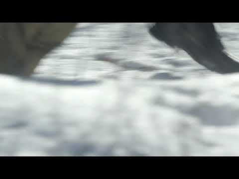 Dexter: New Blood Theme Song | #Dexter #DexterNewBlood