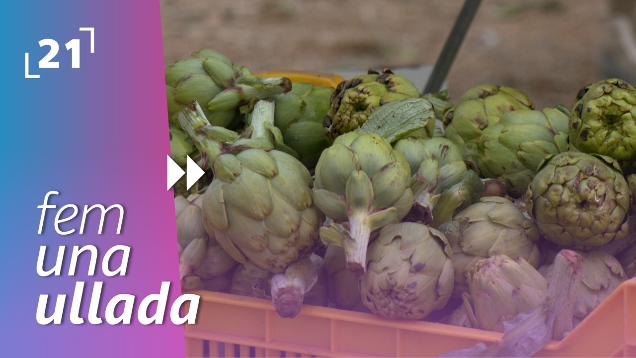 Hagamos un vistazo: II Fiesta de la Alcachofa de la Aldea