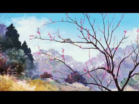 Spring Has Come (Chillhop - Lo-Fi - Beats - Electronic Mix)