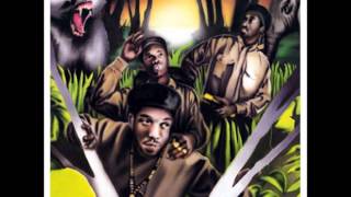 Jungle Brothers  - Straight out of the jungle Full Album