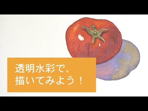 web体験授業デザイン専攻「透明水彩体験」