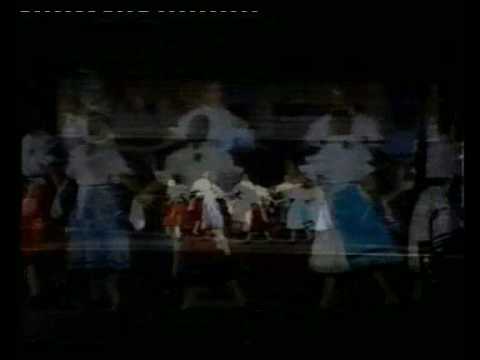 1993 - VI. Néptáncgála - Pántlika Néptáncegyüttes