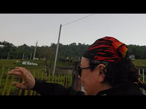 El quetzal majestuoso irrumpió en el bosque silente; ✨ viví su magia en su refugio, San Marcos 🌿