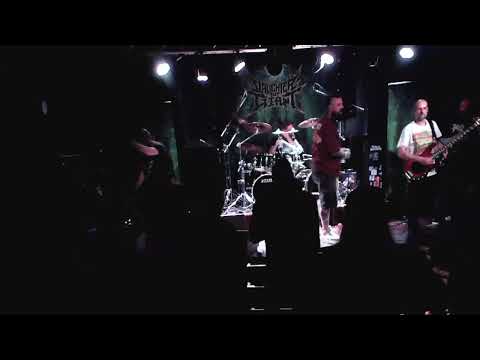 2025 05 16 Slaughter the Giant Venue Cam