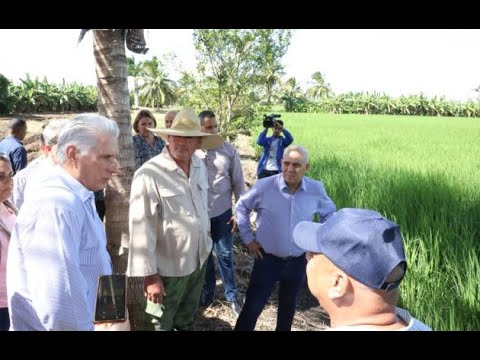 Recorre Díaz-Canel centros de interés económico y social en Abreus y Aguada