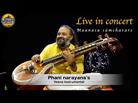 Manasa samcharare Veena Instrumental | Phani narayana | Live in concert