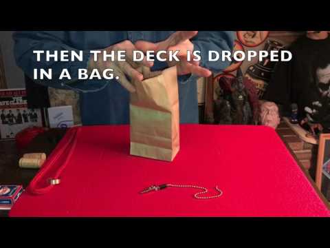 Ali Gator by Chazpro