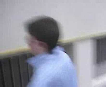 dragostea din tei  version sanfaurs