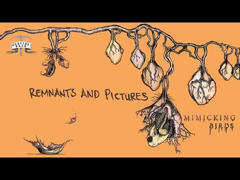 Remnants And Pictures video
