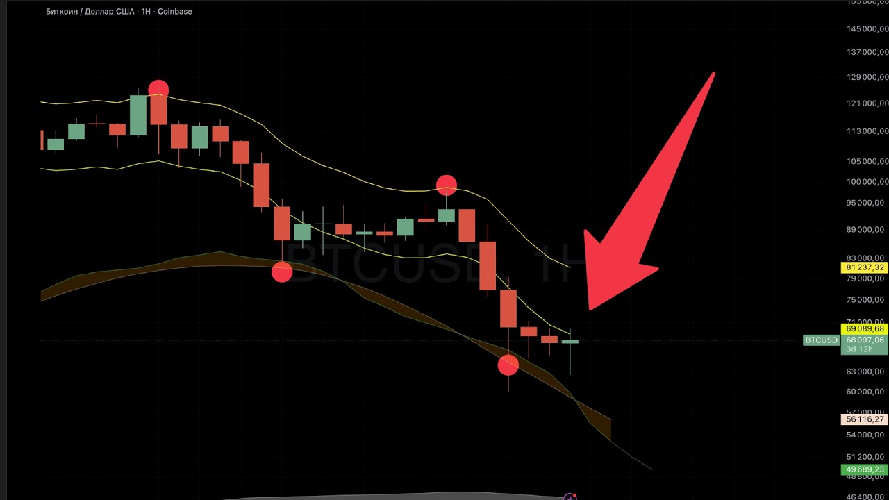 🔴 План действий на медвежьем рынке. Что делать с просевшими альткоинами?