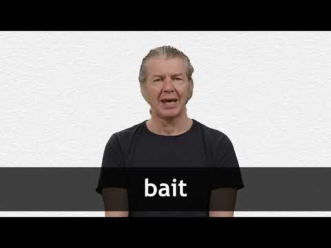 BAIT definition in American English