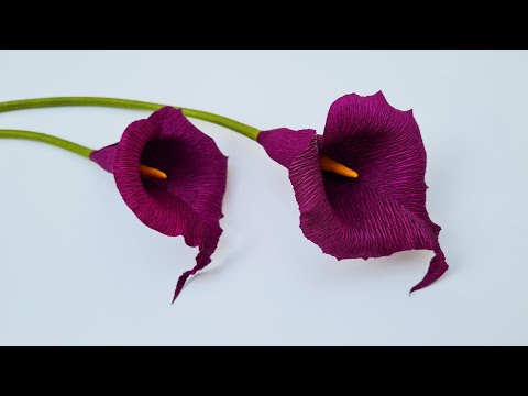 How To Make Calla Lily Paper Flower #2 / Paper Flower / Góc nhỏ Handmade