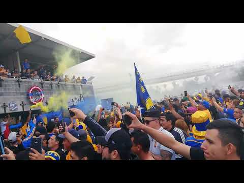 "Libres y lokos - funeral de C.F.M" Barra: Libres y Lokos &bull; Club: Tigres