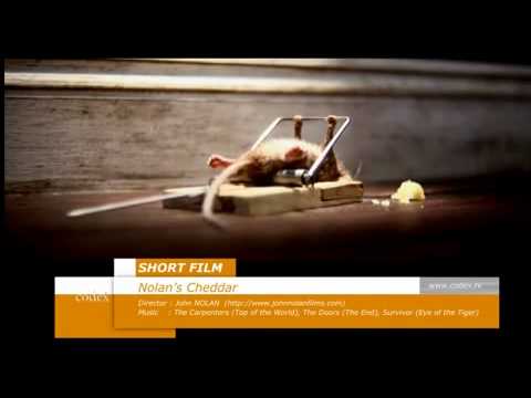 DLCZZZ’s Video 47203861006 8_P6OtYLsdU