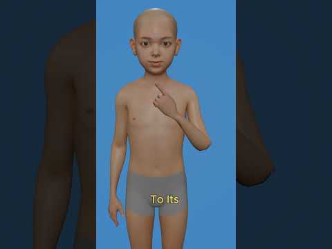 Can Humans Regrow Body Parts #3danimation