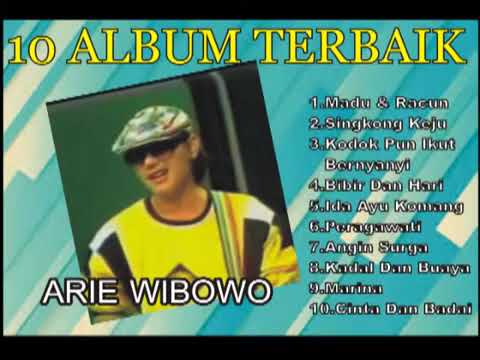 arie wibowo