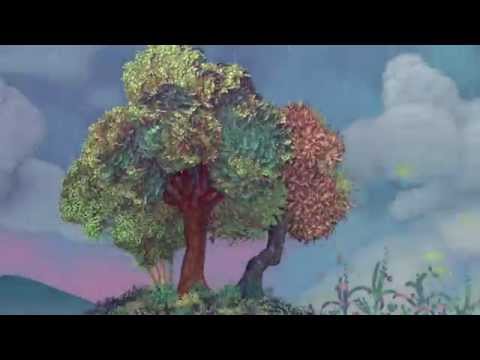 Plant 30,000 native trees Costa Rican owned farms