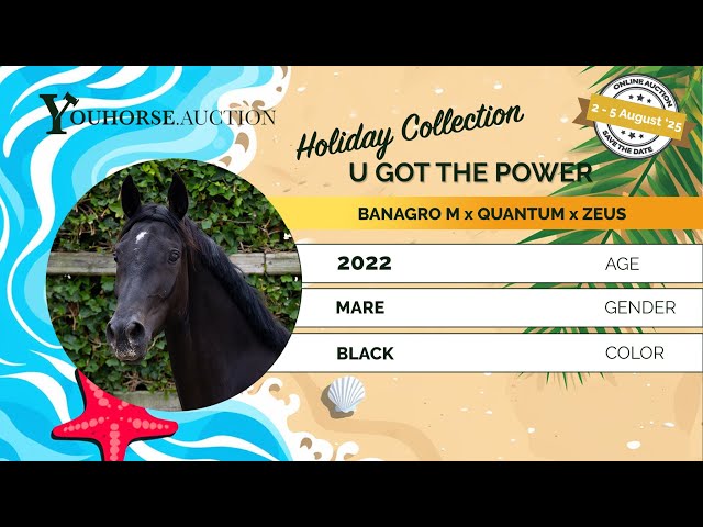 U Got The Power