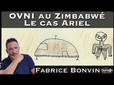 « OVNI au Zimbabwé : le cas Ariel » avec Fabrice Bonvin - NURÉA TV